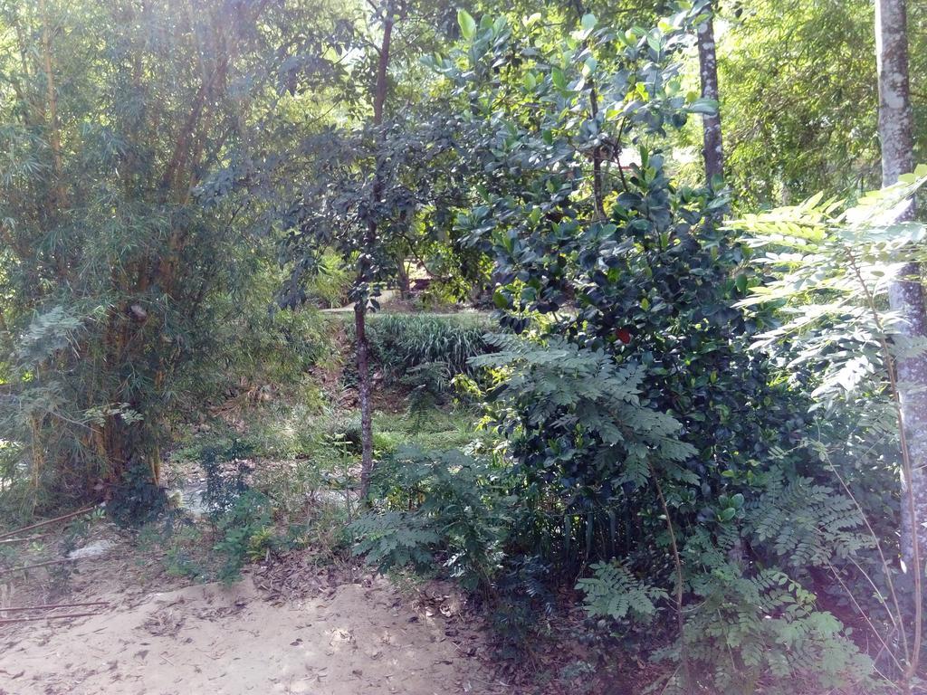 Ask Homestay Ella Buitenkant foto